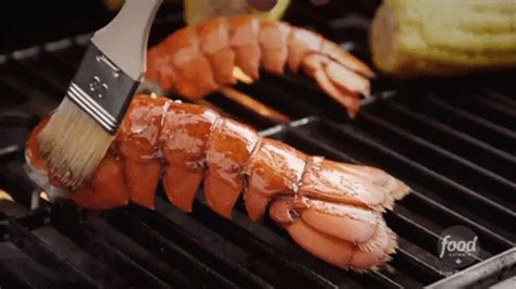 Proceed to LobsterTube and enjoy . . Porn lobster